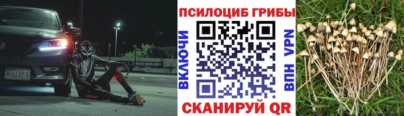 Купить где  Коломна  Галлюциногенные грибы Psilocybe 